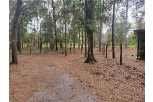 29205 SADDLE OAKS LANE, BROOKSVILLE, FL 34602 Sold 03/18/25