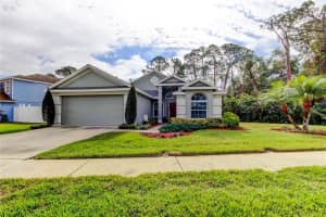 9702 FREDERICKSBURG ROAD, TAMPA, FL 33635 Sold 03/25/25