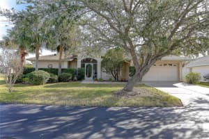 10105 MOSHIE LANE, SAN ANTONIO, FL 33576 Sold 03/25/25