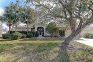 10105 MOSHIE LANE, SAN ANTONIO, FL 33576 Sold 03/25/25