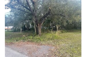 26346 FOAMFLOWER BOULEVARD, WESLEY CHAPEL, FL 33544 Sold 02/11/25