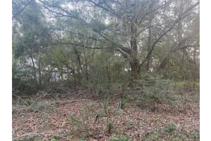 26346 FOAMFLOWER BOULEVARD, WESLEY CHAPEL, FL 33544 Sold 02/11/25