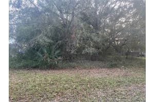 26346 FOAMFLOWER BOULEVARD, WESLEY CHAPEL, FL 33544 Sold 02/11/25