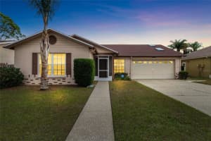 11015 STREAMSIDE DRIVE, TAMPA, FL 33624 Sold 02/28/25
