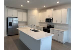 31691 GRIFFIN SANDS LANE, SAN ANTONIO, FL 33576 Sold 04/16/25