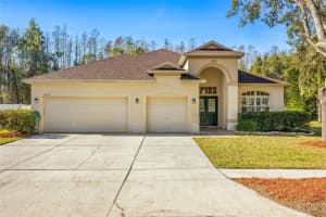 18214 STILLWELL LANE, TAMPA, FL 33647 Sold 07/07/25