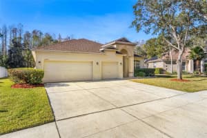 18214 STILLWELL LANE, TAMPA, FL 33647 Sold 07/07/25
