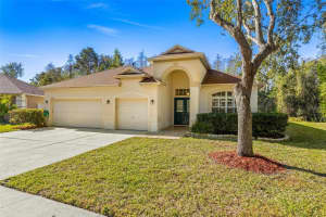 18214 STILLWELL LANE, TAMPA, FL 33647 Sold 07/07/25