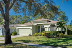 12911 ROYAL GEORGE AVENUE, ODESSA, FL 33556 Sold 03/27/25