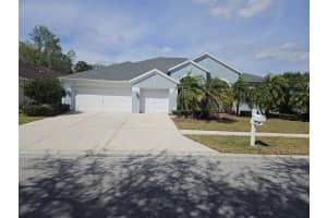 5125 Silver Charm Ter, WESLEY CHAPEL
