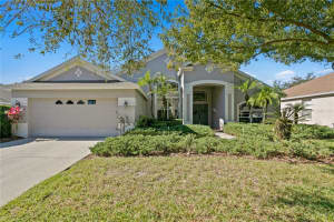 18122 PHEASANT WALK DRIVE, TAMPA, FL 33647 Sold 02/28/25