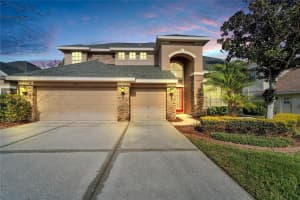 23509 VISTAMAR CT, LAND O LAKES, FL 34639 Sold 04/25/25