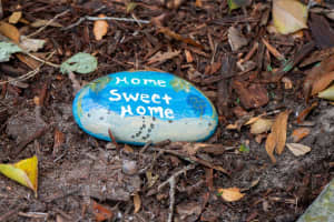 142 CHERRY LAUREL DRIVE, PALM HARBOR, FL 34683 Sold 01/17/25