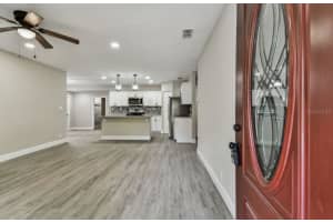 11650 COUNTY ROAD 579 HIGHWAY, THONOTOSASSA, FL 33592 - MLS#MFRTB8333797