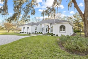10411 PINE AVENUE, RIVERVIEW, FL 33578 Sold 01/23/25