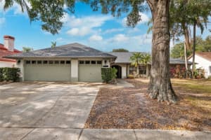 15106 MEADOWLAKE STREET, ODESSA, FL 33556 Sold 05/20/25