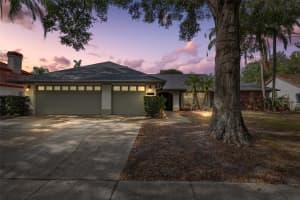 15106 MEADOWLAKE STREET, ODESSA, FL 33556 Sold 05/20/25