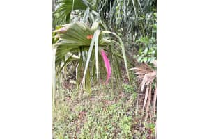 0 HILDA RD, DADE CITY, FL 33523 Sold 02/18/26