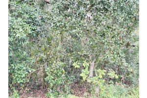 0 HILDA RD, DADE CITY, FL 33523 Sold 02/18/26