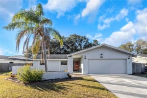 1392 OVERLEA DR, DUNEDIN, FL 34698 Sold 03/21/25