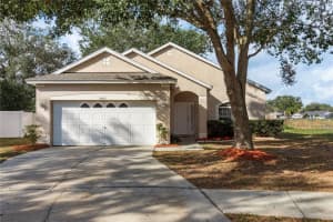 24311 BREEZY OAK COURT, LUTZ, FL 33559 Sold 02/26/25