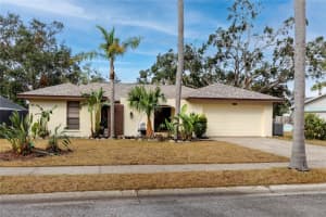 391 MERAVAN COURT, PALM HARBOR, FL 34683 Sold 02/19/25