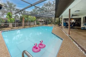 391 MERAVAN COURT, PALM HARBOR, FL 34683 Sold 02/19/25