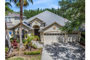 8334 OLD TOWN DRIVE, TAMPA, FL 33647 Sold 03/17/25