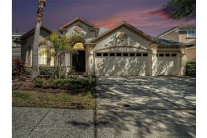 8334 OLD TOWN DRIVE, TAMPA, FL 33647 Sold 03/17/25