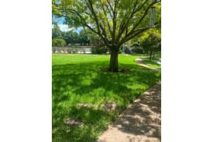4229 LA SORRENTO COURT, TAMPA, FL 33611 Sold 02/24/25