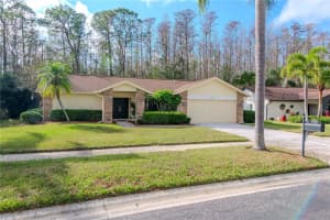 3214 GLENRIDGE DRIVE, PALM HARBOR, FL 34685 Sold 02/21/25