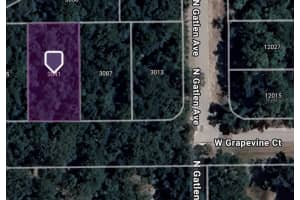 3041 GRAPEVINE COURT, DUNNELLON, FL 34433 Sold 02/21/25