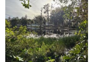 409 2ND AVENUE, LUTZ, FL 33549 Sold 01/23/25