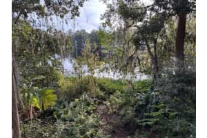 409 2ND AVENUE, LUTZ, FL 33549 Sold 01/23/25