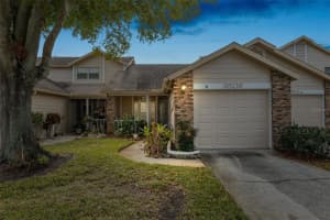 6506 REMUS DRIVE, NEW PORT RICHEY, FL 34653 - MLS#MFRTB8334345