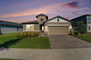 7122 Heron Walk Ln, WESLEY CHAPEL