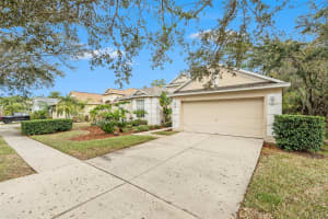 19157 MEADOW PINE DRIVE, TAMPA, FL 33647 Sold 03/27/25