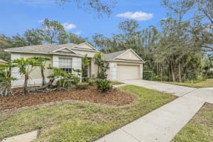 19157 MEADOW PINE DRIVE, TAMPA, FL 33647 Sold 03/27/25