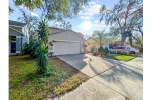 8715 MORRISON OAKS COURT, TEMPLE TERRACE, FL 33637 Sold 05/01/25