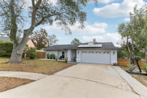 3775 SPRINGHILL CIRCLE, PALM HARBOR, FL 34684 Sold 03/04/25