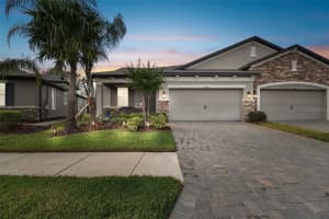 19315 HAWK VALLEY DRIVE, TAMPA, FL 33647 Sold 06/30/25