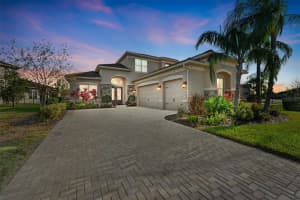 31072 CHESAPEAKE BAY DRIVE, WESLEY CHAPEL, FL 33543 Sold 05/01/25