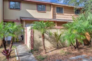 6948 TROUT STREET, TAMPA, FL 33617 Sold 03/17/25