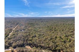 13996 PEACE BOULEVARD, SPRING HILL, FL 34610 - MLS#MFRTB8334644