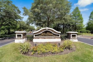 6912 ROCK SPRINGS WAY, TAMPA, FL 33625 Sold 02/14/25