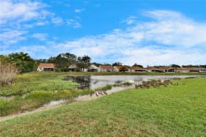 10516 GOLDWATER LANE, RIVERVIEW, FL 33578 Sold 02/28/25
