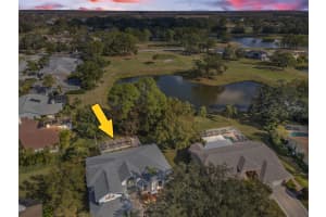 16317 COLWOOD DRIVE, ODESSA, FL 33556 Sold 02/25/25