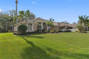 2914 SHIPSTON AVENUE, NEW PORT RICHEY, FL 34655 - MLS#MFRTB8334862