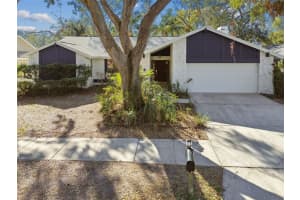 3113 BLUE HERON STREET, SAFETY HARBOR, FL 34695 Sold 02/24/25