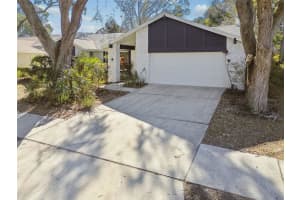 3113 BLUE HERON STREET, SAFETY HARBOR, FL 34695 Sold 02/24/25